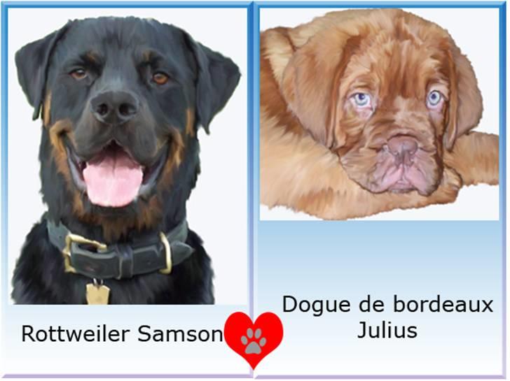 Tegninger af andres hunde - Samson & Julius. billede 74