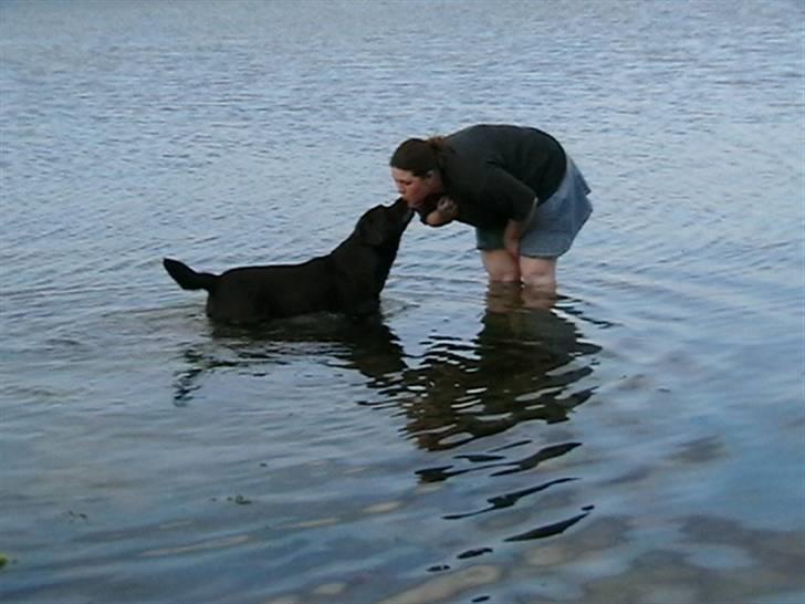 Tjeko ved Reersnæs strand - "mor" får lige et kys...
13/7-2008 billede 1