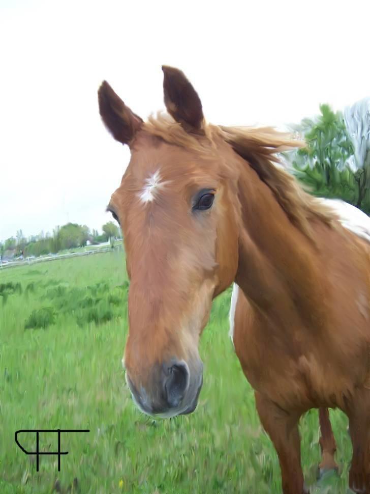 Tegninger af andres hunde billede 76