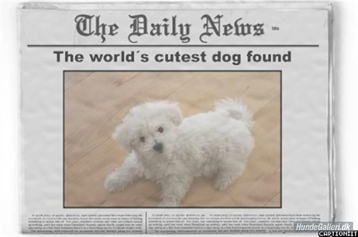 Superskønne tegninger og billeder fra andre - Fra Anne Sofie K. Det er genialt lavet :) Tak!! billede 6