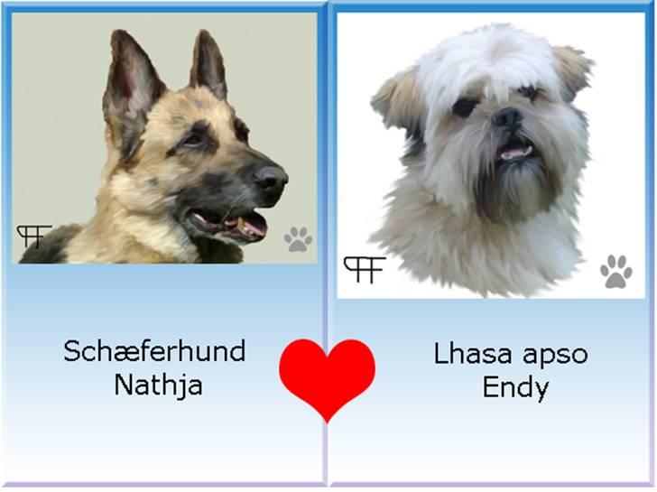 Tegninger af andres hunde - Nathja & Endy. billede 87