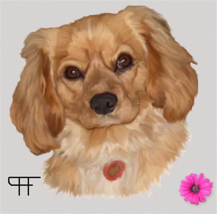 Tegninger af andres hunde - Blanding af racer Molly. billede 91
