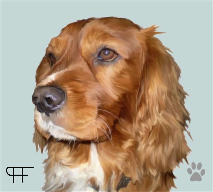Tegninger af andres hunde - Blanding af racer Max. billede 92