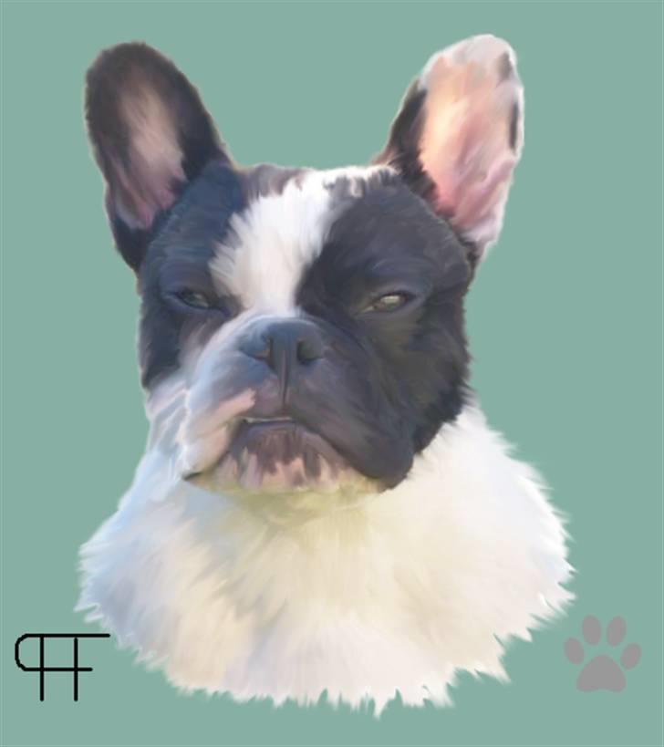 Tegninger af andres hunde - Fransk bulldog Toby. billede 94