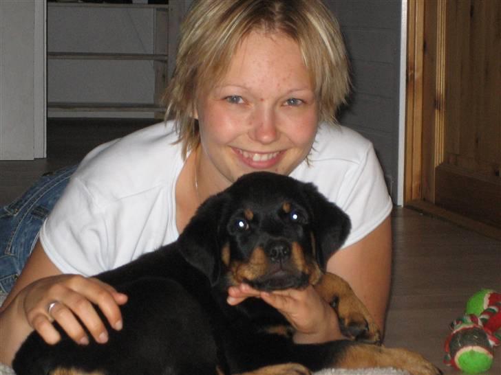 Lidt nuttede hvalpe billeder billede 1