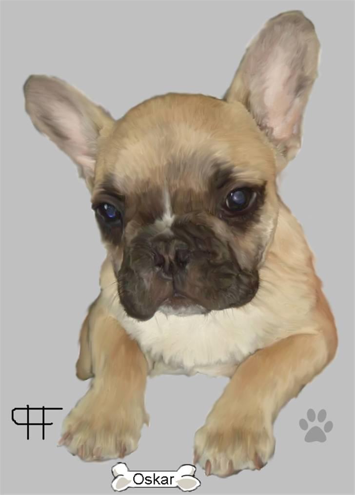 Tegninger af andres hunde - Fransk bulldog Oskar. billede 99