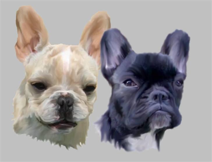 Tegninger af andres hunde - Felix og FreYa billede 100