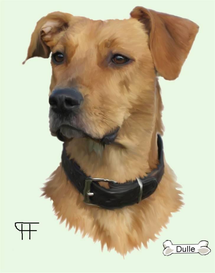 Tegninger af andres hunde - Blanding af racer Dulle. billede 101