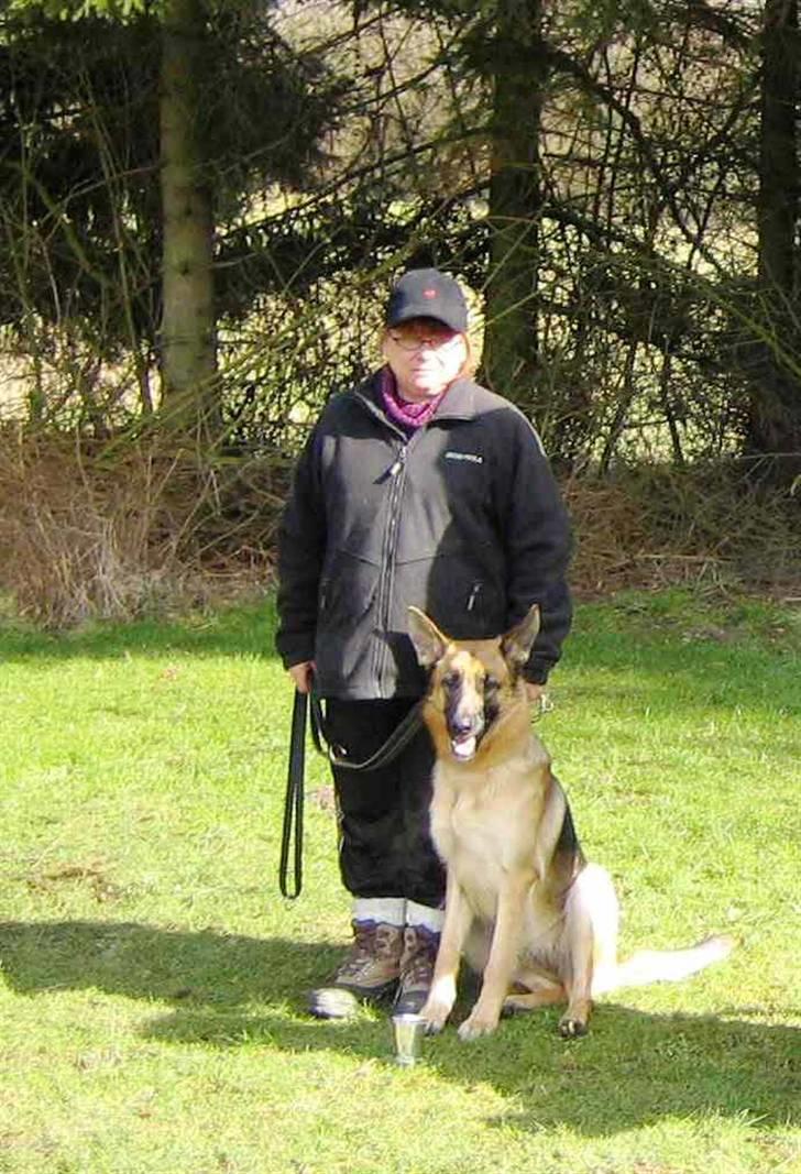 Mine skønne hunde i regnbue himlen - Til prøve 1. præmie billede 13