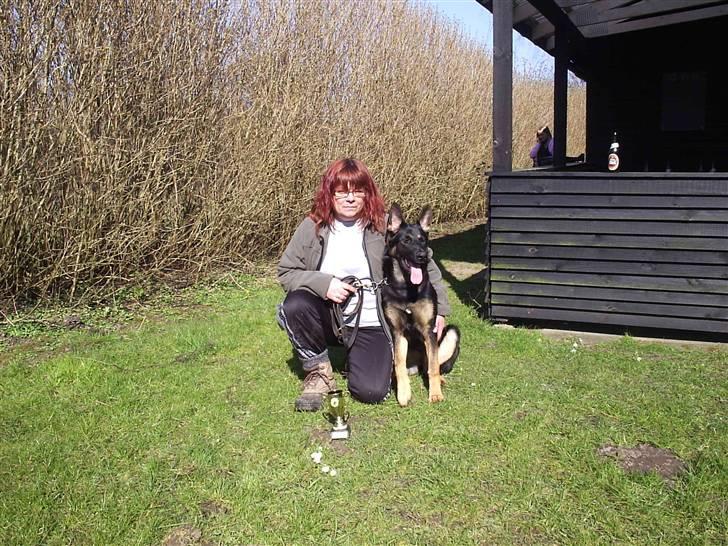 Mine skønne hunde i regnbue himlen - Hvalpeprøve en 1. plads billede 28