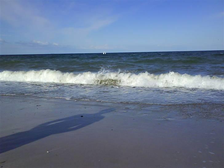 En tur til Nordby strand (samsø) billede 5
