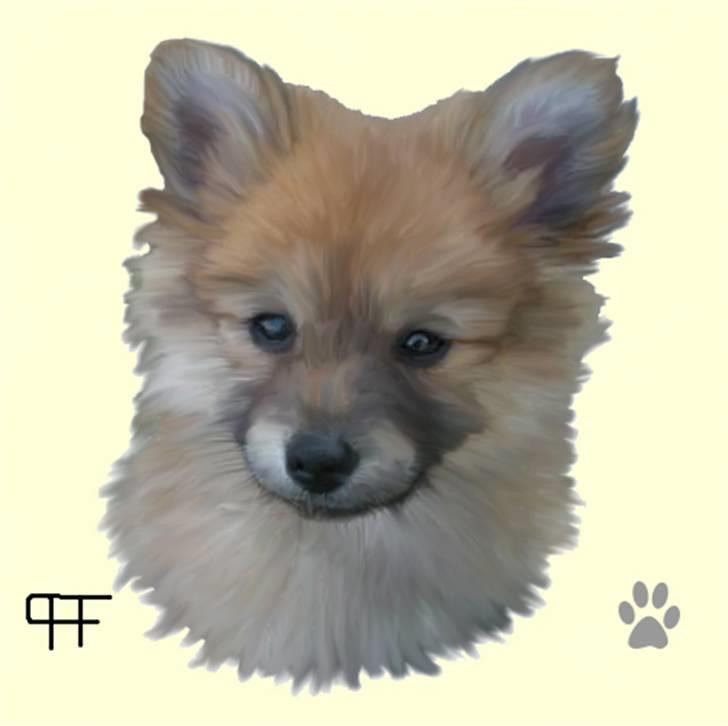 Tegninger af andres hunde - Blanding af racer Tyson. billede 113