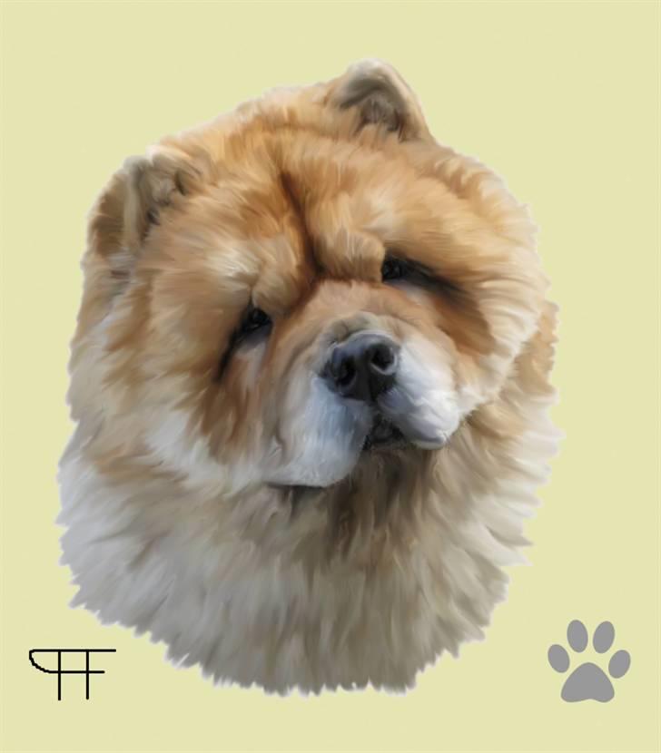 Tegninger af andres hunde - Chow chow Bidachows Kappa. billede 116