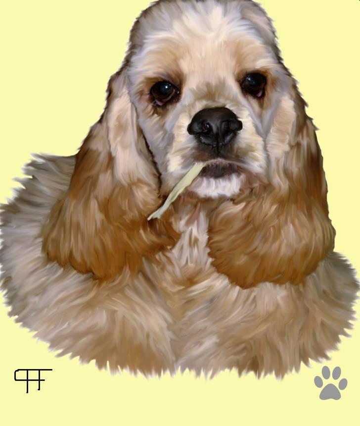 Tegninger af andres hunde - Amerikansk cocker spaniel Joey. billede 117