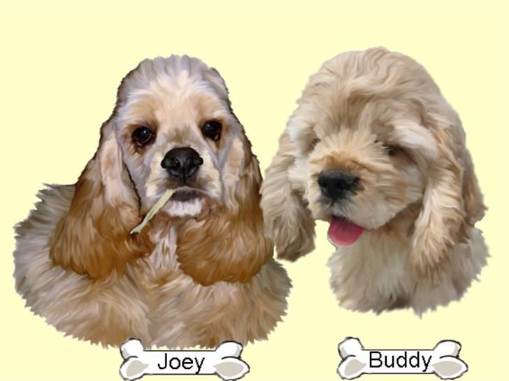 Tegninger af andres hunde - Joey & Boddy. billede 119