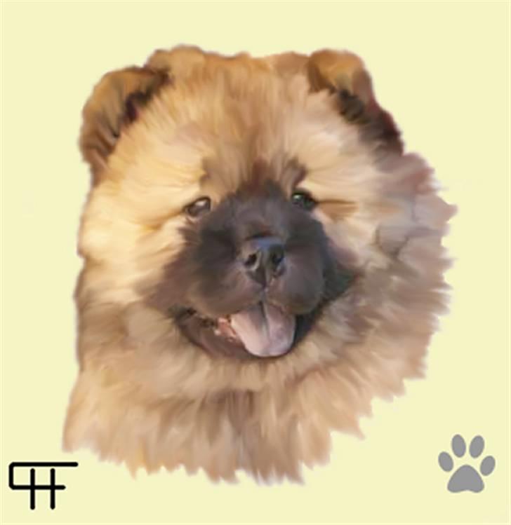 Tegninger af andres hunde - Chow chow Malou. billede 124