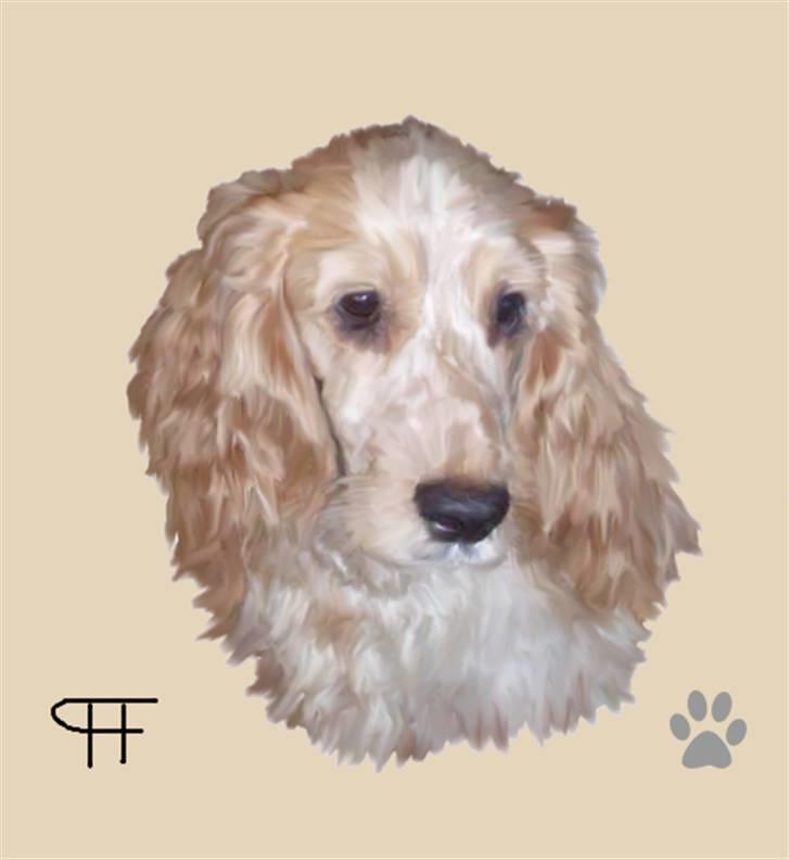 Tegninger af andres hunde - Cocker spaniel Nuggi. billede 130