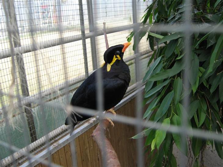 {{currentPhoto.altText}} billede {{currentPhoto.number}}