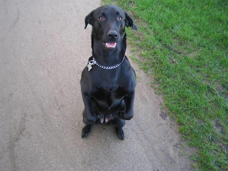 Freja - Jeg kan stadig sitte pænt... billede 20