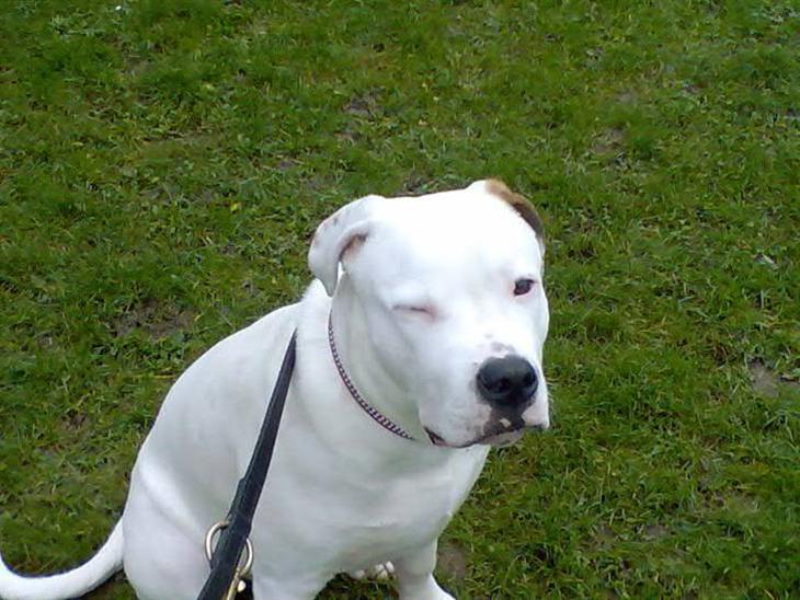 {{currentPhoto.altText}} billede {{currentPhoto.number}}