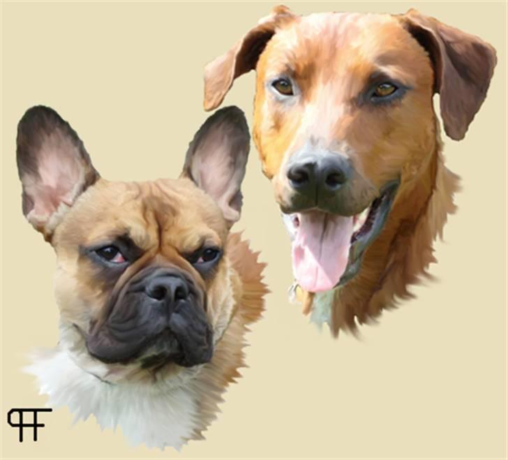 Tegninger af andres hunde billede 144