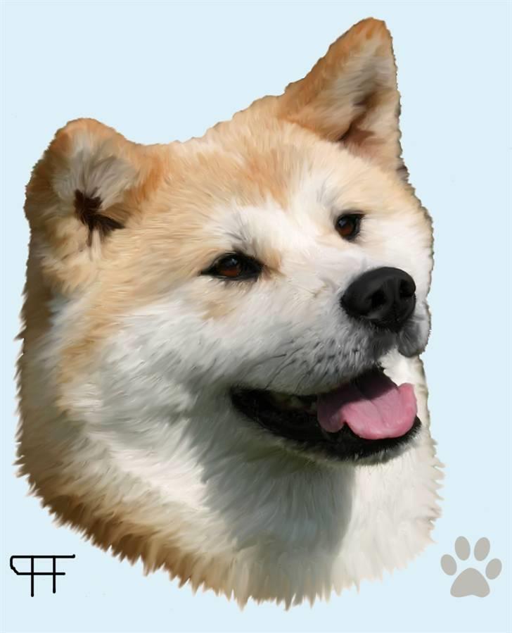Tegninger af andres hunde - Akita inu Tattoi. billede 148