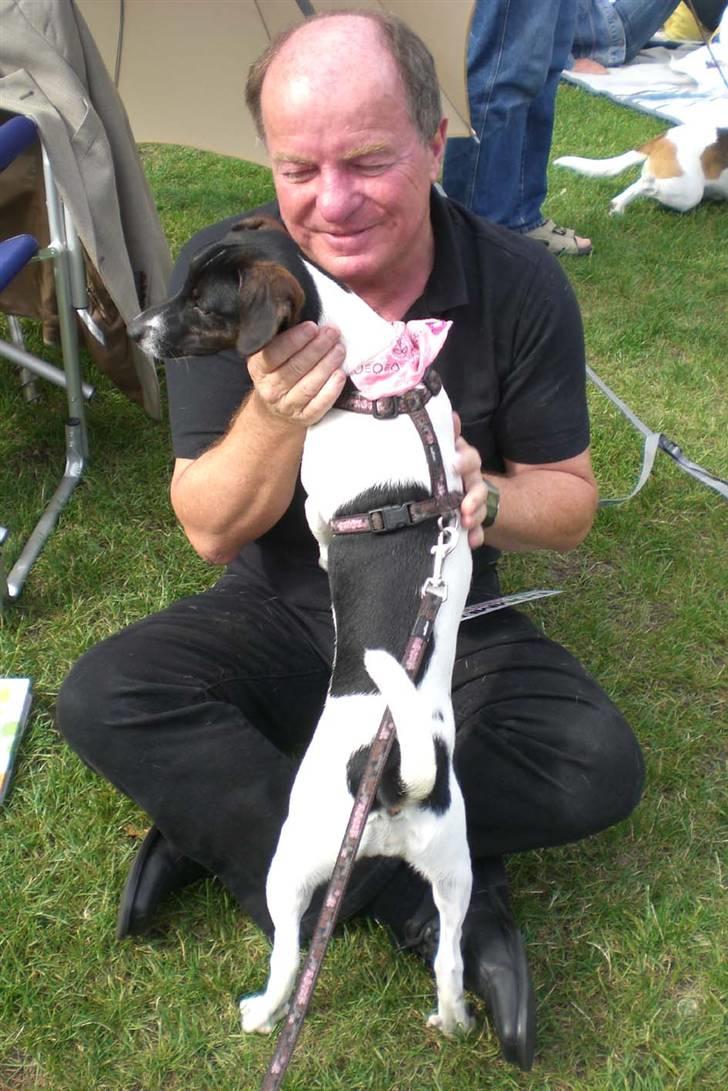 Danmarks sødeste hund i Aalborg - Nu gider jeg ham altså ikke ham dommeren mere siger Jackie. billede 11