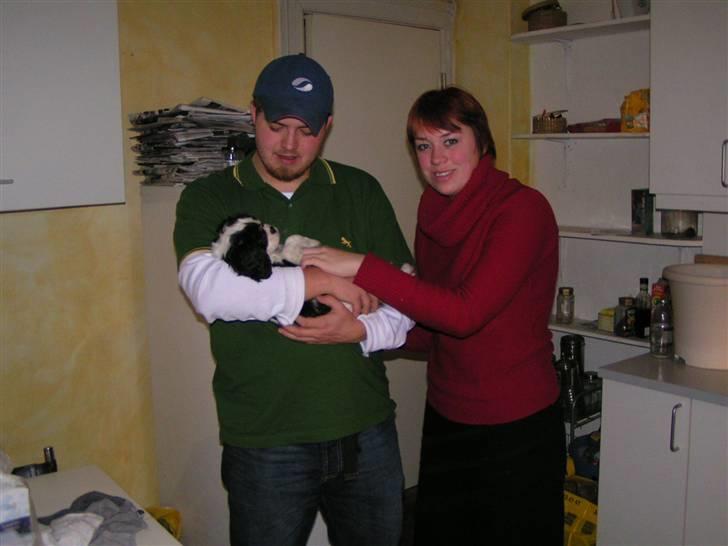 Hvalpe-billeder - Mor og far med bebse.. jeg mener... mig! :-D billede 1