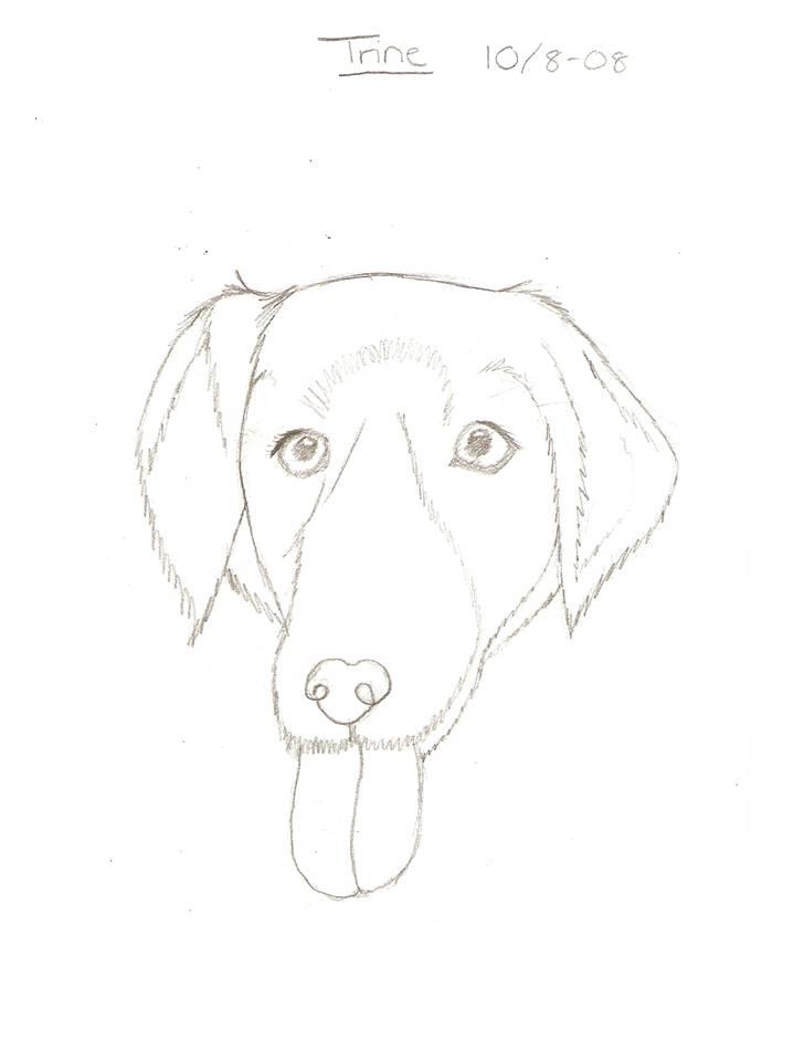 tegn en hund tegn en hund