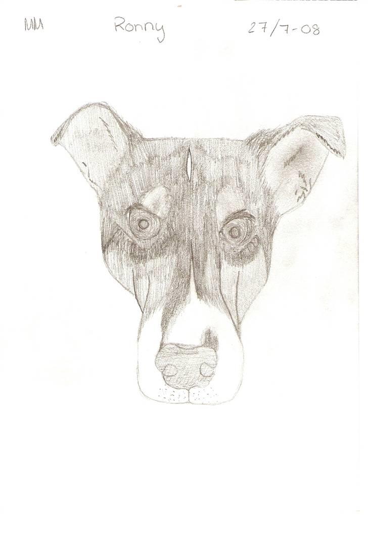 Tegnede Hunde - Ronny billede 3