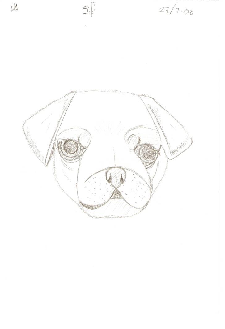 Tegnede Hunde - Sif billede 4