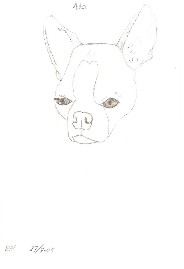 Tegnede Hunde - Asta billede 5