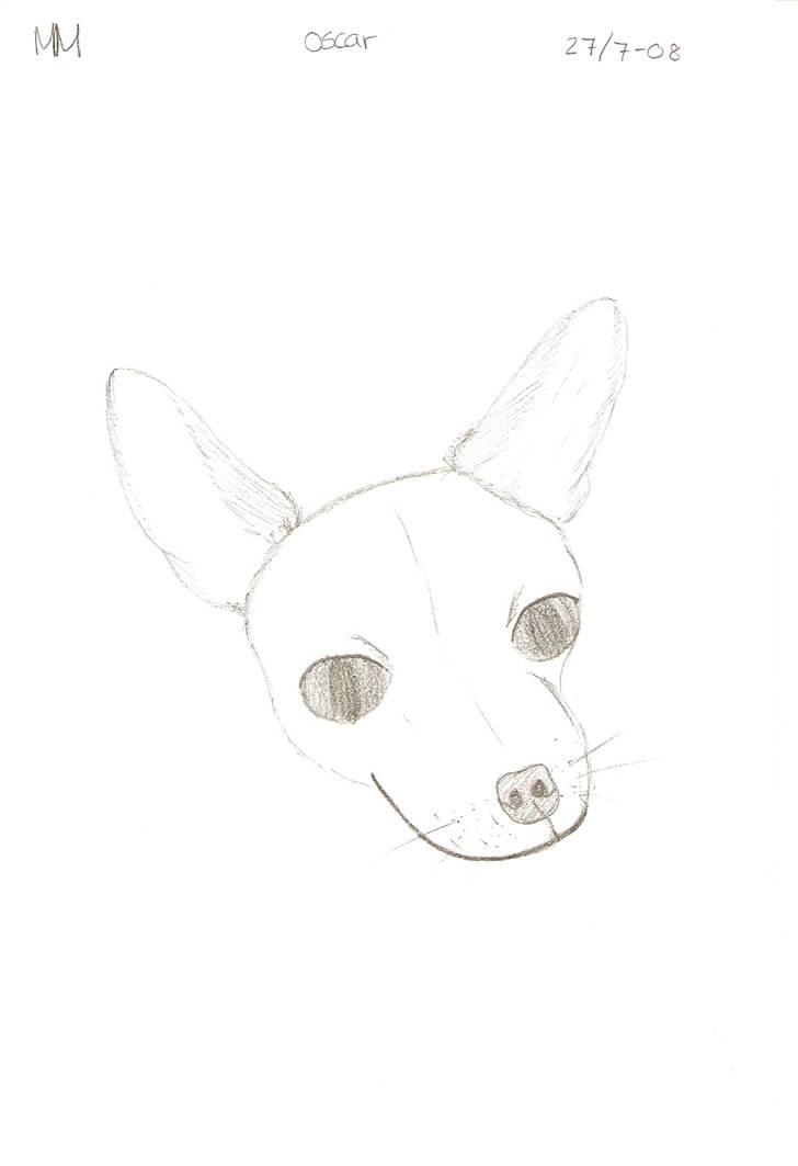 Tegnede Hunde - Oscar billede 6