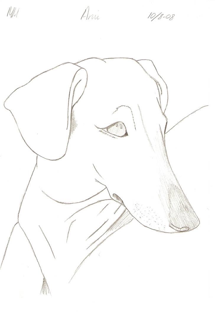 Tegnede Hunde - Ami billede 7