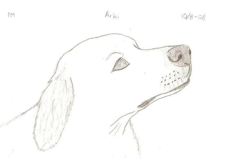 Tegnede Hunde - Arki billede 8