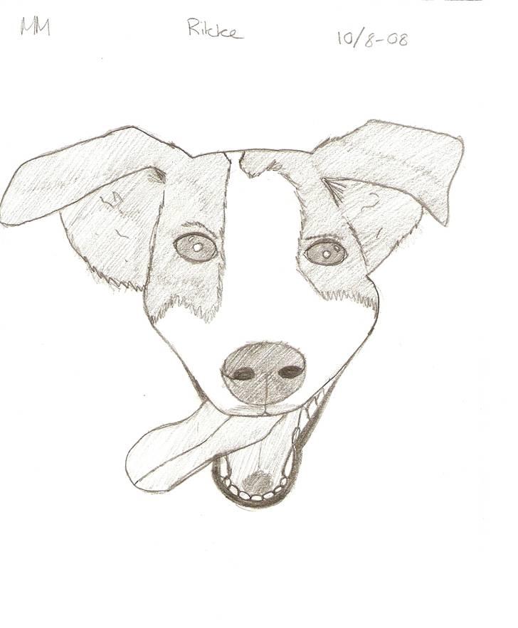 Tegnede Hunde - Rikke billede 10