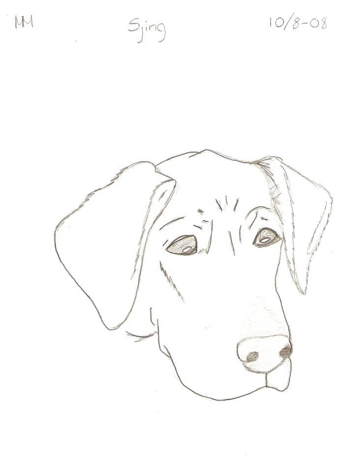 Tegnede Hunde - Sjing billede 11