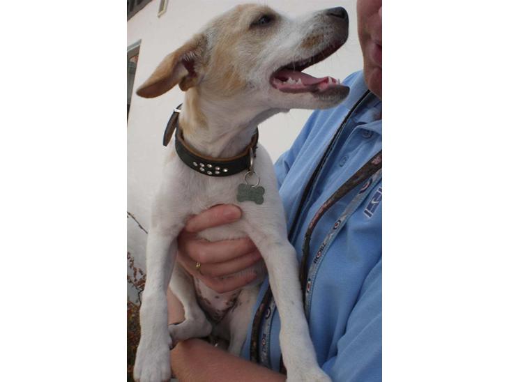 {{currentPhoto.altText}} billede {{currentPhoto.number}}