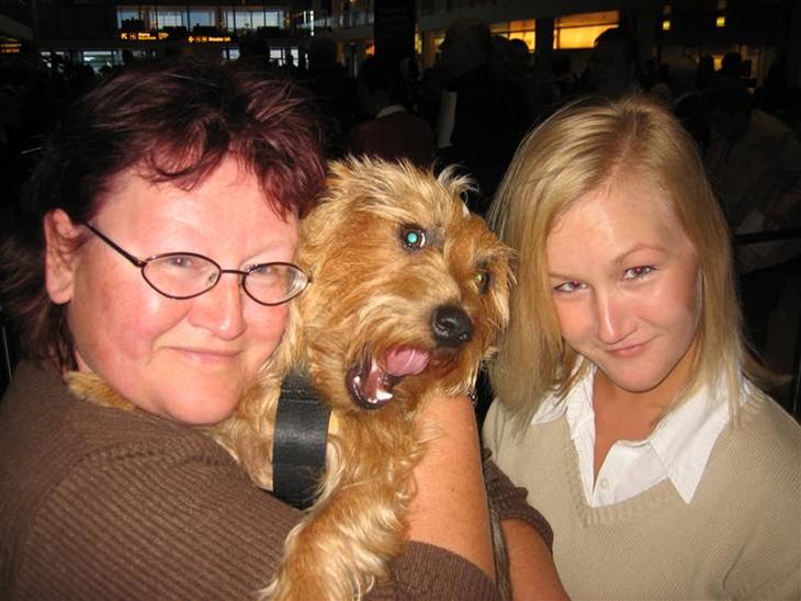 {{currentPhoto.altText}} billede {{currentPhoto.number}}