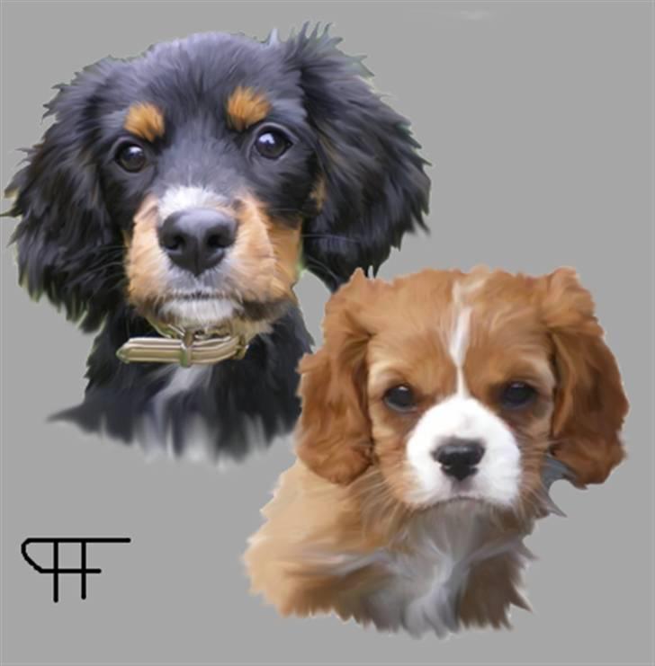 Tegninger af andres hunde billede 156
