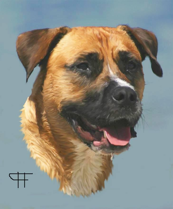 Tegninger af andres hunde - Blanding af racer Odin. billede 173