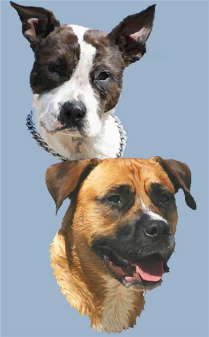 Tegninger af andres hunde billede 178