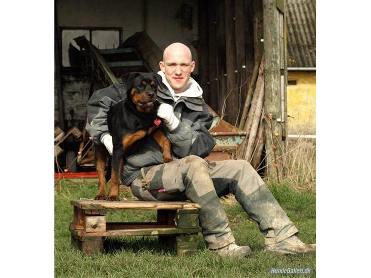 Til minde om min tøs billede 1