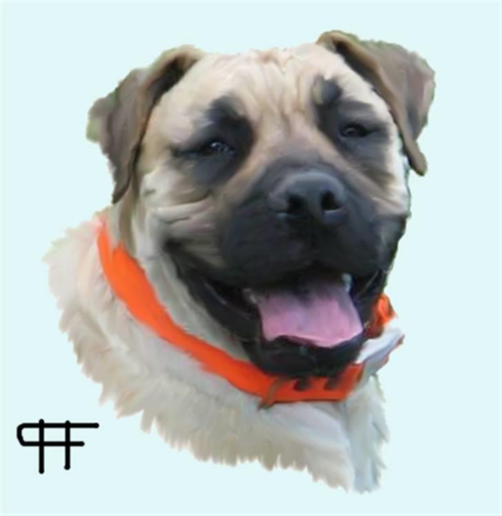 Tegninger af andres hunde - Boerboel Boelsplaas Maggie. billede 180