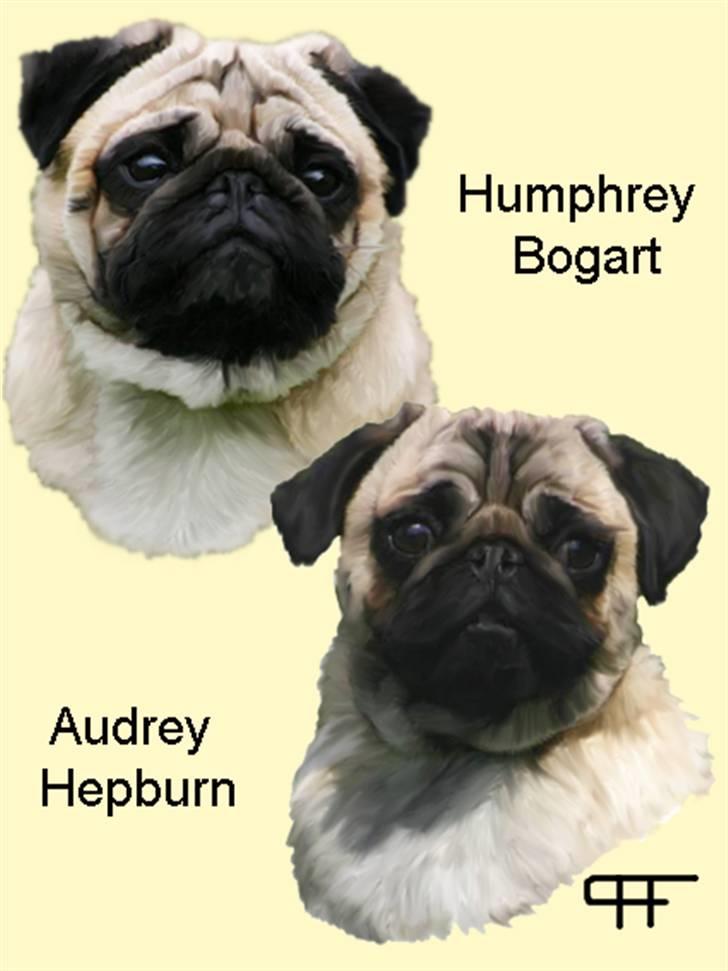 Tegninger af andres hunde - Humphrey Bogart & Audrey Hepburn. billede 183