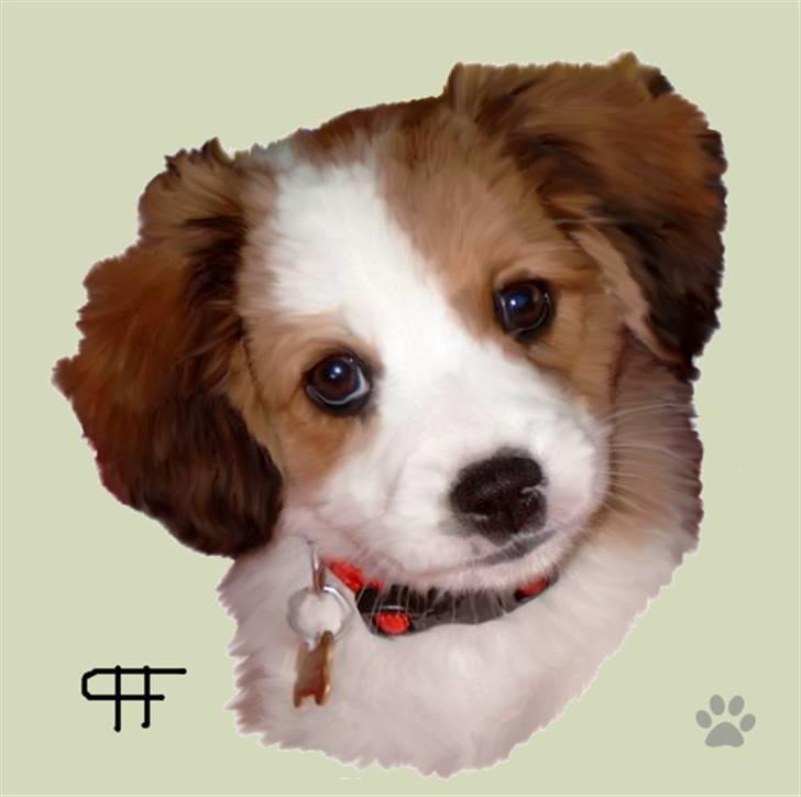 Tegninger af andres hunde - Blanding af racer Lucky. billede 188