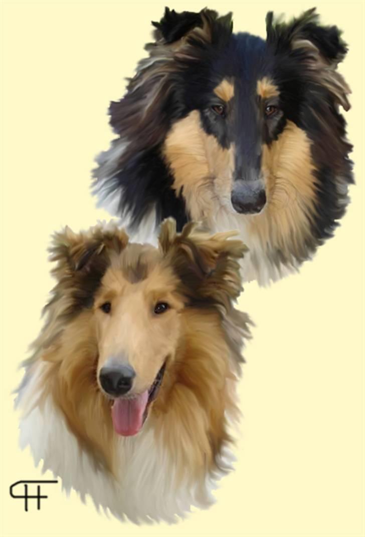 Tegninger af andres hunde - Frida & Fie. billede 192