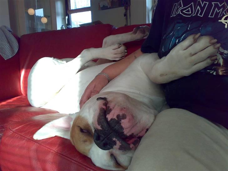 Mærkelige stillinger billede 12