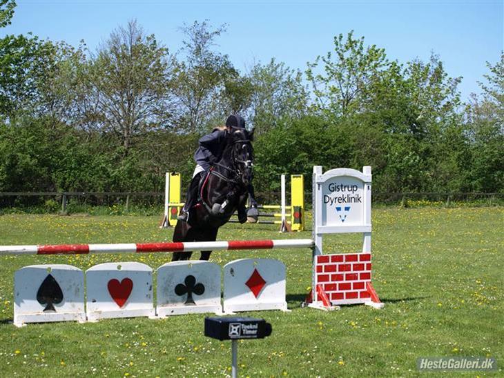 Min pony Kenzo<33 billede 0