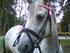 Silver min pony <3